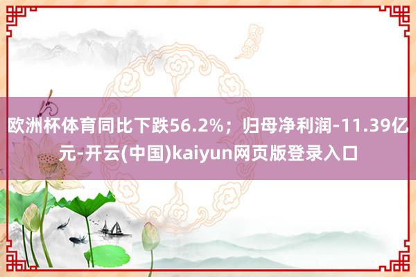 欧洲杯体育同比下跌56.2%;归母净利润-11.39亿元-开云(中国)kaiyun网页版登录入口