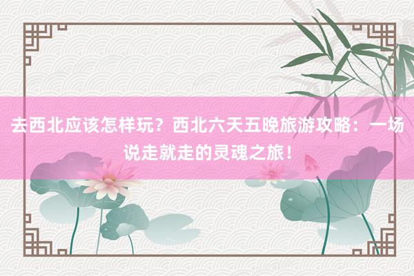 去西北应该怎样玩？西北六天五晚旅游攻略：一场说走就走的灵魂之旅！