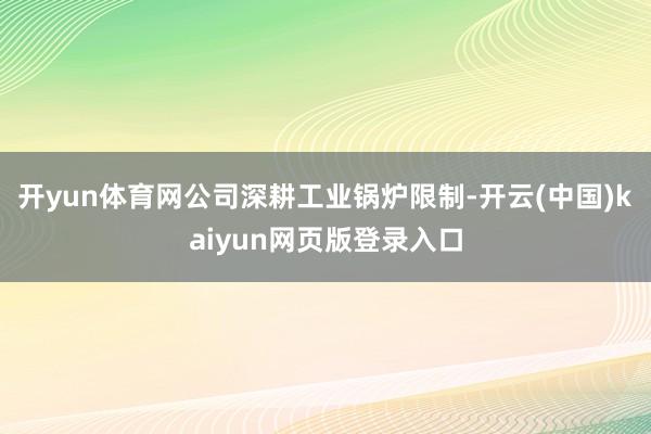 开yun体育网公司深耕工业锅炉限制-开云(中国)kaiyun网页版登录入口