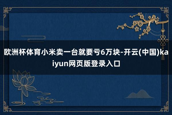 欧洲杯体育小米卖一台就要亏6万块-开云(中国)kaiyun网页版登录入口