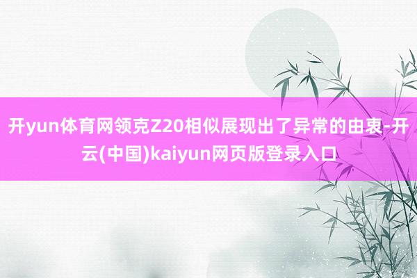 开yun体育网领克Z20相似展现出了异常的由衷-开云(中国)kaiyun网页版登录入口